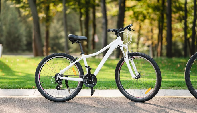 Достойно отстаивал свои права: история с травлей мальчика из-за велосипеда получила продолжение, видео