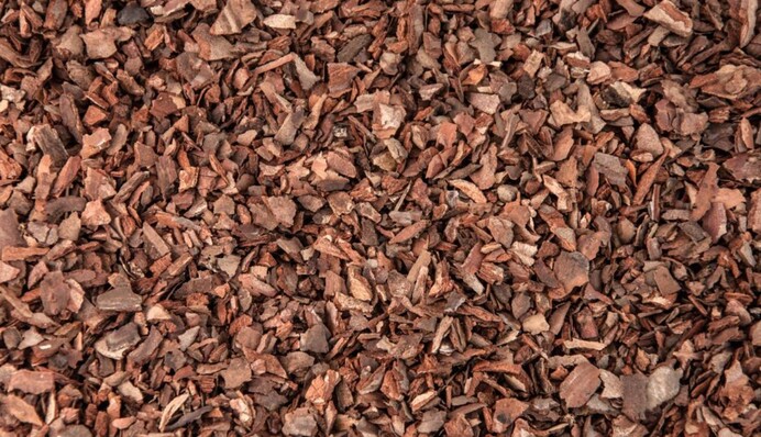 Сосновая кора - находка для дачников: как правильно использовать природный материал