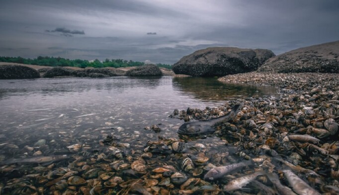 На Херсонщине обнаружили холеру и кишечную палочку: важное предупреждение для жителей