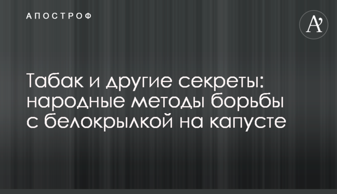 Тютюн та інші секрети: народні методи боротьби з білокрилкою на капусті
