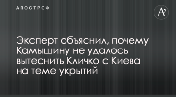 Эксперт объяснил, почему Камышину не удалось вытеснить Кличко с Киева на теме укрытий