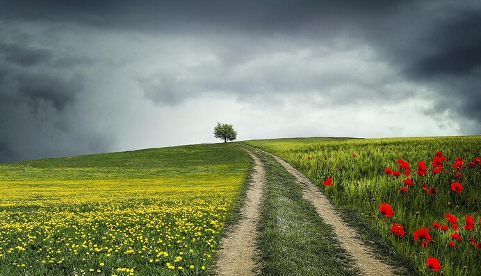 Від холодних +17 до спеки +29: прогноз погоди в Україні на п’ятницю