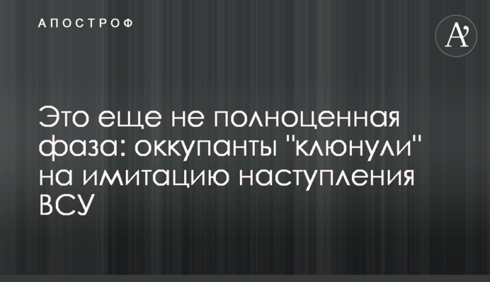 Это еще не полноценная фаза: оккупанты 