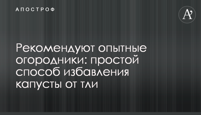 Рекомендуют опытные огородники: простой способ избавления капусты от тли