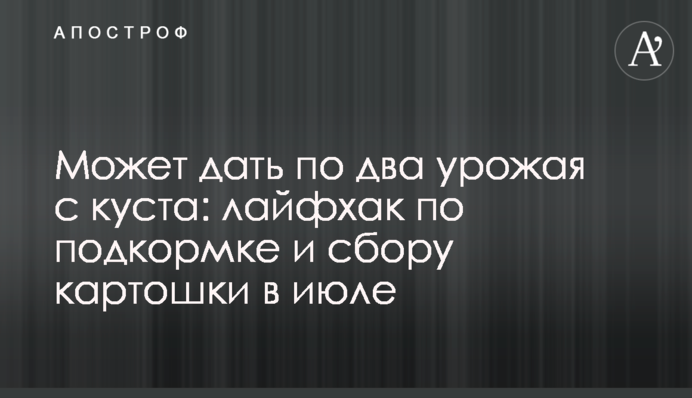 Може дати по два врожаї з куща: лайфхак з підгодівлі та збирання картоплі у липні