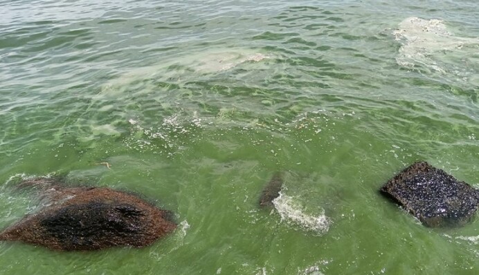 В Одессе сделали важное заявление по купальному сезону: как сейчас выглядят пляжи