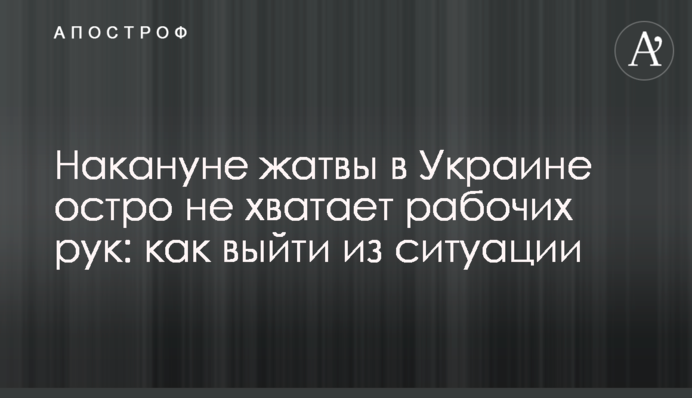 Накануне жатвы в Украине остро не хватает рабочих рук: как выйти из ситуации