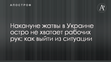 Накануне жатвы в Украине остро не хватает рабочих рук: как выйти из ситуации