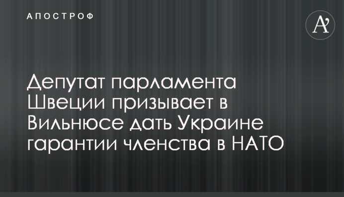 Депутат парламента Швеции призывает в Вильнюсе дать Украине гарантии членства в НАТО