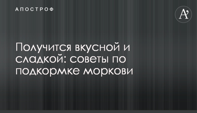 Получится вкусной и сладкой: советы по подкормке моркови
