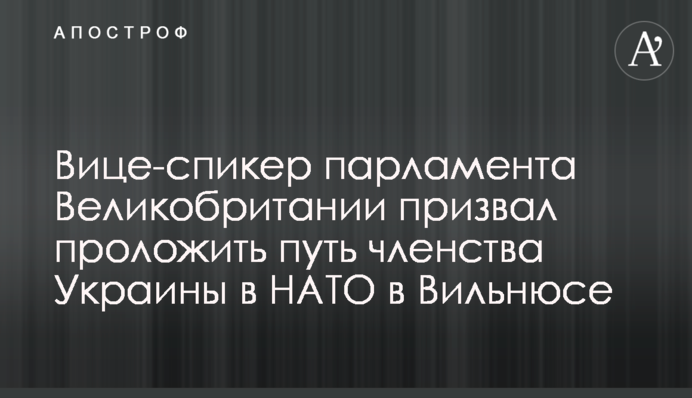 Вице-спикер парламента Великобритании призвал проложить путь членства Украины в НАТО в Вильнюсе