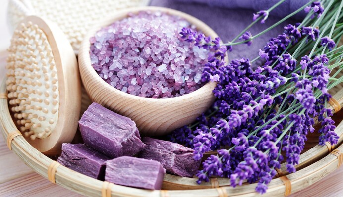 Народные уловки: как избавиться от комаров на даче