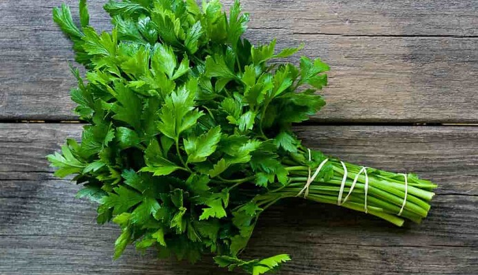 Как заморозить петрушку на зиму, чтобы была как свежая: три проверенных способа
