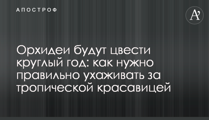 Орхідеї будуть цвісти цілий рік: як треба правильно доглядати за тропічною красунею