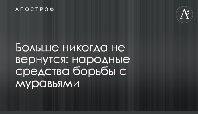 Більше ніколи не повернуться: народні засоби боротьби з мурахами
