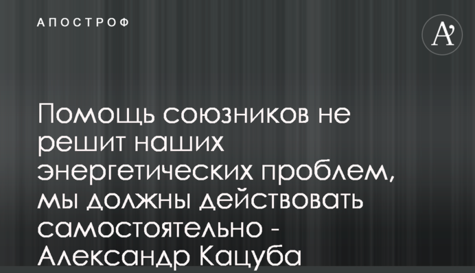 Помощь союзников не решит наших энергетических проблем, мы должны действовать самостоятельно - Александр Кацуба
