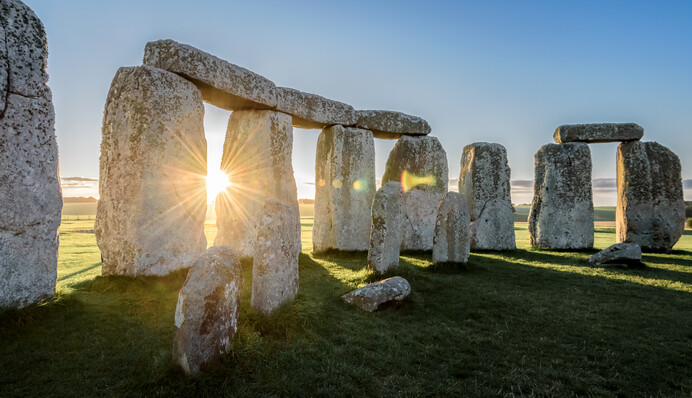 Почти как четыре футбольных поля: в Нидерландах нашли свой 