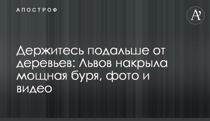 Держитесь подальше от деревьев: Львов накрыла мощная буря, фото и видео
