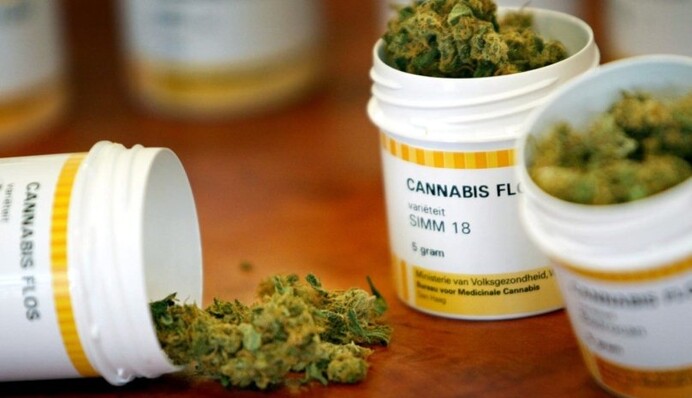 Зеленський підтримав легалізацію медичного канабісу: українці не мають терпіти біль, стрес та травми війни