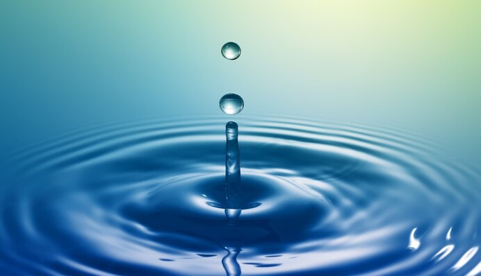 Що робити, якщо в бочці цвіте вода: дієві лайфхаки