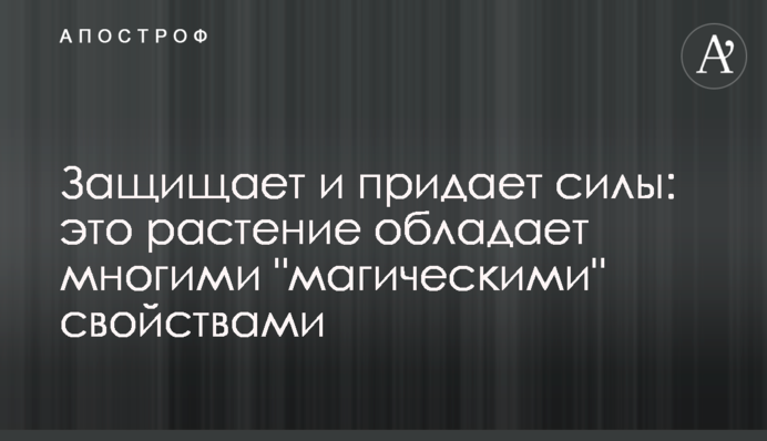 Захищає і надає сили: ця рослина має багато 