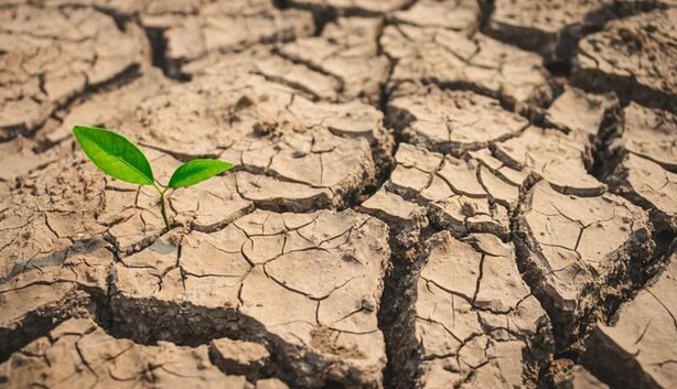 Будет потеряно много урожаев: министр оценил ущерб от теракта на Каховской ГЭС