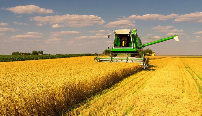 Посевная прошла успешно, но урожай будет скромнее прошлогоднего – министр агрополитики Украины