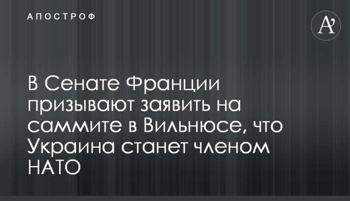 У Сенаті Франції закликають заявити на саміті у Вільнюсі, що Україна стане членом НАТО