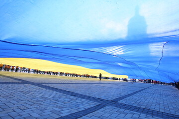 ​Чиновники Киевской таможни снижали цены на импортные товары в 50-200 раз