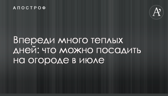Попереду багато теплих днів: що можна посадити на городі в липні