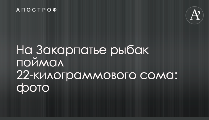 На Закарпатті рибалка спіймав 22-кілограмового сома: фото