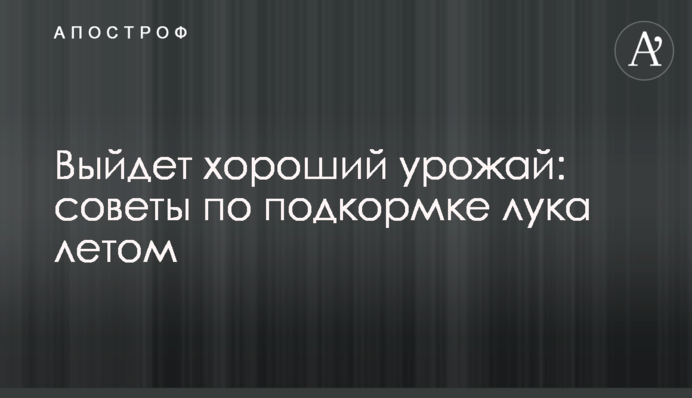 Вийде гарний урожай: поради щодо підживлення цибулі влітку