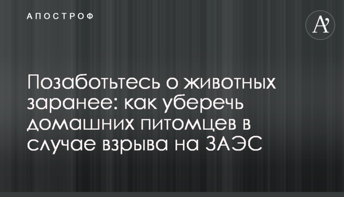 Позаботьтесь о животных заранее: как уберечь домашних питомцев в случае взрыва на ЗАЭС