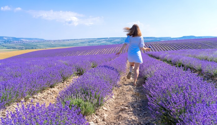 Львы будут полны сил, а Стрельцы в поисках новых знаний: гороскоп на 3 июля
