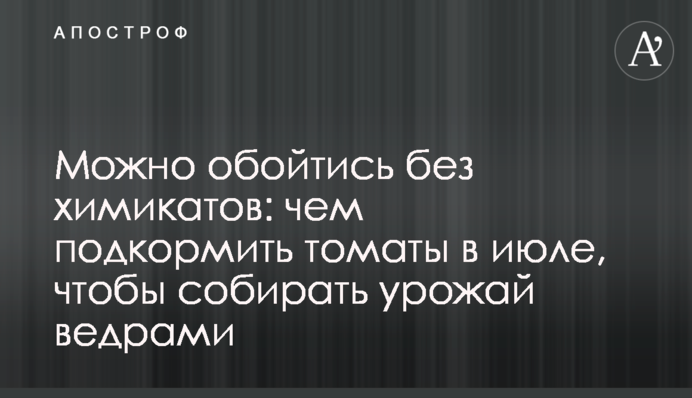 Можно обойтись без химикатов: чем подкормить томаты в июле, чтобы собирать урожай ведрами