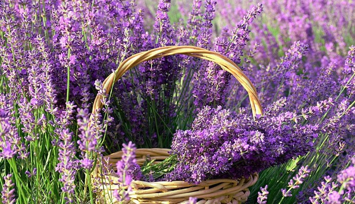 Левам варто тримати язик за зубами, Стрільцям - запастися терпінням: гороскоп для всіх знаків на 4 липня