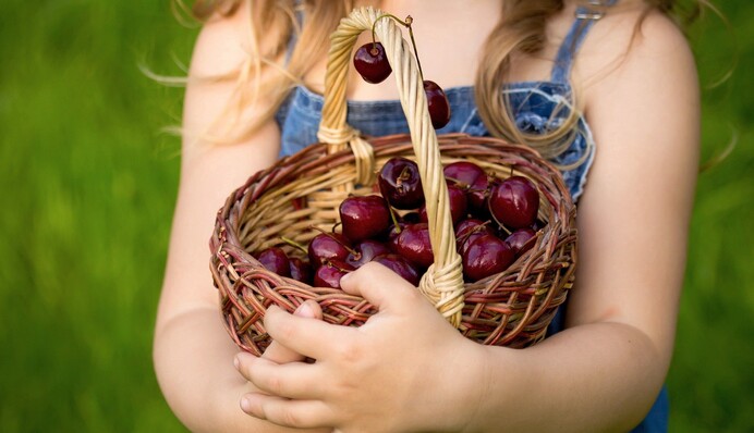 В Ковеле священник связал скотчем девочку, рвавшую черешни на территории костела