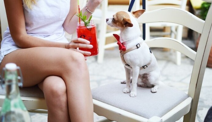 Вредно ли сидеть со скрещенными ногами: правда и мифы о популярной позе