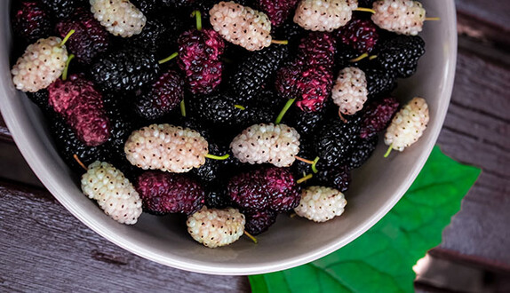 Сезон шовковиць і ожини теж має мінуси: прості способи, щоб вивести плями від ягід з одягу