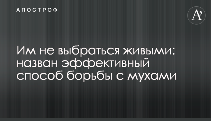 Їм не вибратися живими: названо ефективний спосіб боротьби з мухами