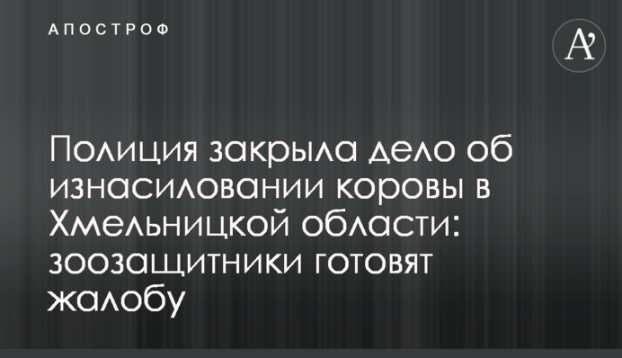 Поліція закрила справу про зґвалтування корови на Хмельниччині: зоозахисники  готують скаргу