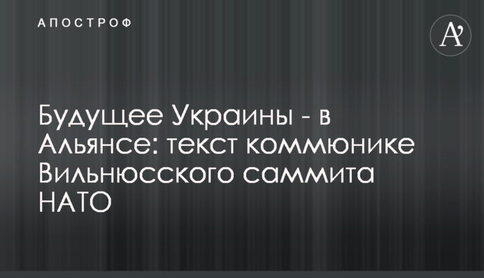 Будущее Украины - в Альянсе: текст коммюнике Вильнюсского саммита НАТО