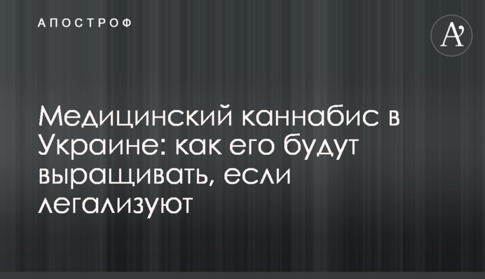 Медичний канабіс в Україні: як його вирощуватимуть, якщо легалізують