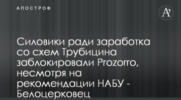 Силовики заради заробітку зі схем Трубіцина заблокували Prozorro, попри рекомендації НАБУ - Білоцерковець