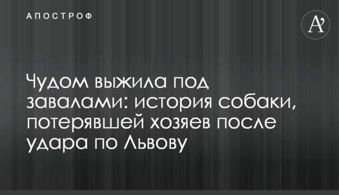 Чудом выжила под завалами: история собаки, потерявшей хозяев после удара по Львову