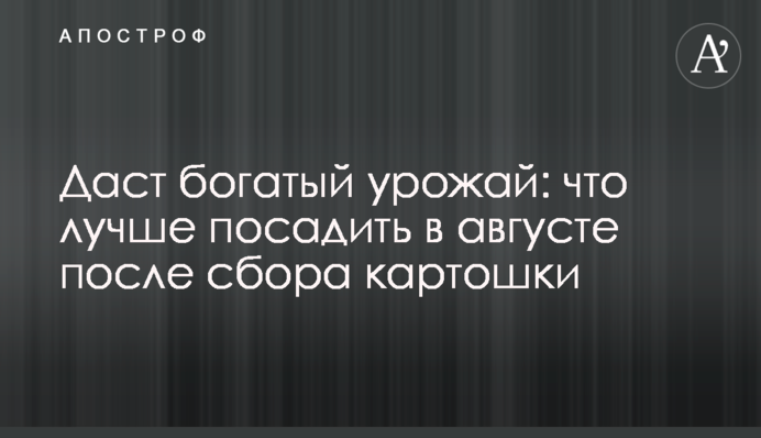 Дасть багатий урожай: що краще посадити у серпні після збирання картоплі