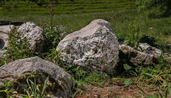 В Англії знайшли рідкісний полірувальний камінь, який використовували 5 тисяч років тому: фото