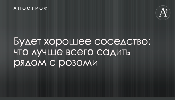 Будет хорошее соседство: что лучше всего садить рядом с розами
