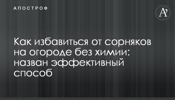 Як позбутися бур'янів на городі без хімії: названо ефективний спосіб