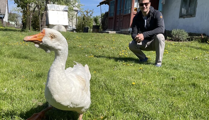Бачила всякого на своєму пташиному віку: померла найстарша гуска України, фото
